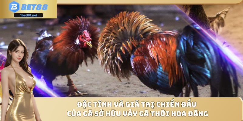 Chọn ngay chiến kê có sức bền để làm chủ cuộc chơi