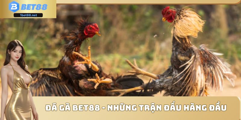 Đá gà Bet88