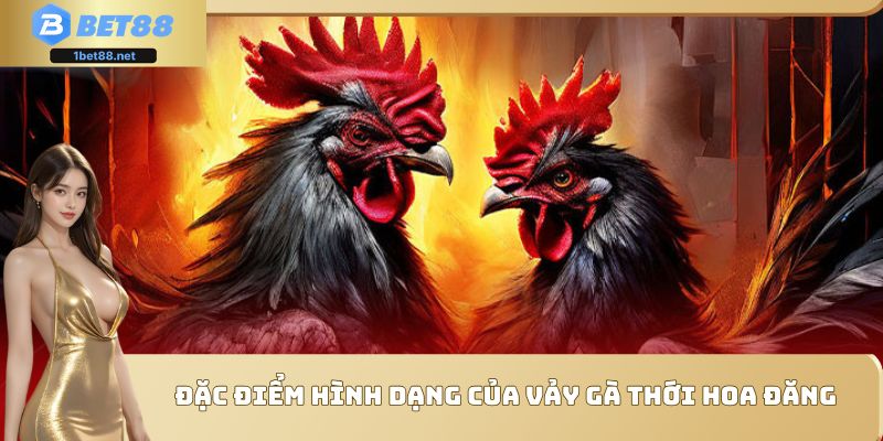 Tìm hiểu để không bỏ lỡ một chiến kê tiềm năng