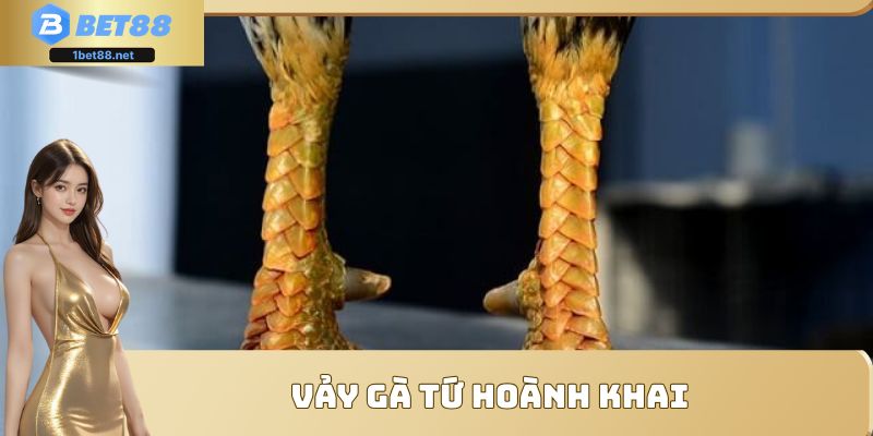 Vảy gà Tứ Hoành Khai